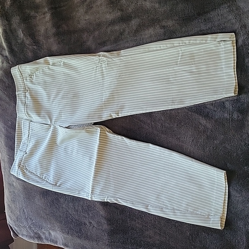 Lane Bryant Sz18 4season ankle pant